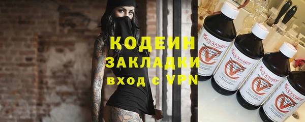индика Богородск