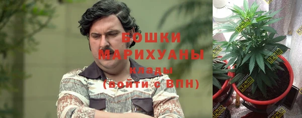 первитин Богородицк