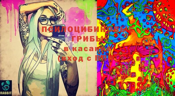 индика Богородск
