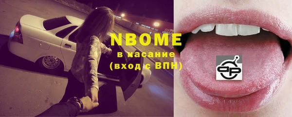 индика Богородск