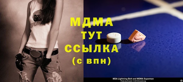 индика Богородск