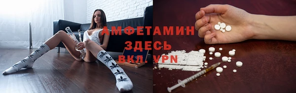 индика Богородск