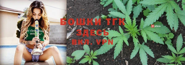 индика Богородск