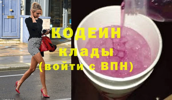 индика Богородск