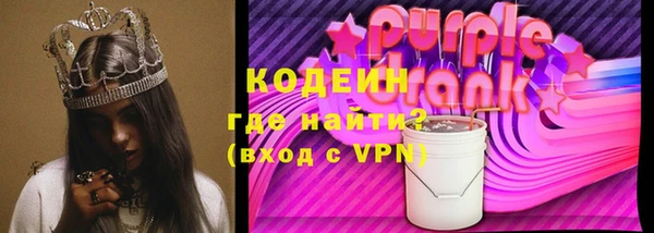 индика Богородск