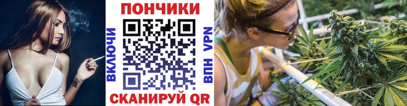Шишки марихуана Amnesia  где найти наркотики  Белоозёрский 
